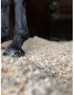 Copeaux Litière Chevaux - Jo-span XL 650/100L 2