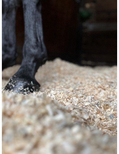 Copeaux Litière Chevaux - Jo-span XL 650/100L