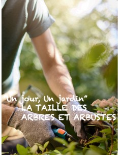 Stage "un jour un jardin" - La taille des arbres & Arbustes