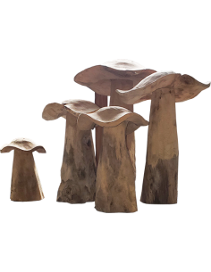 Champignon en Teck 2