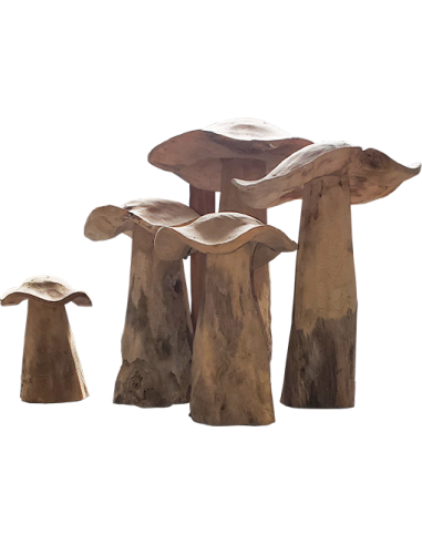 Champignon en Teck