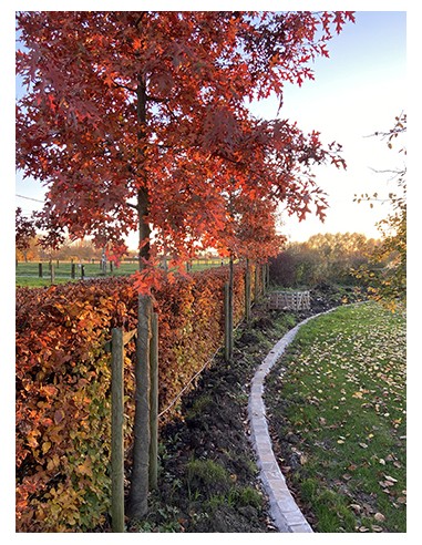 Stages "un jour un jardin" - Terrasses Bois