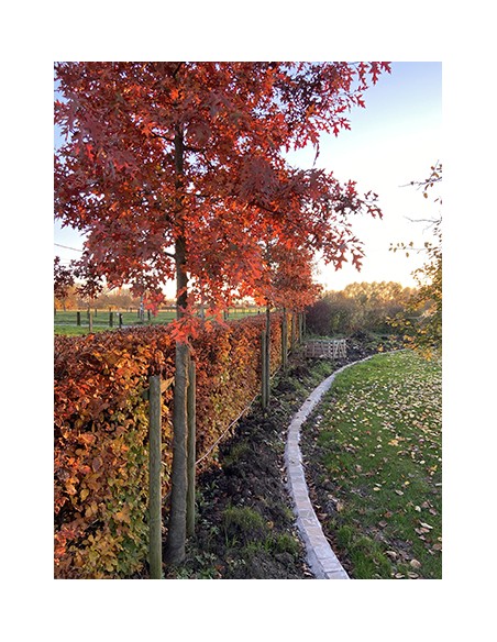 Stages "un jour un jardin" - Terrasses Bois